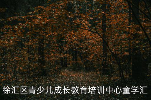 徐匯區青少兒成長教育培訓中心童學匯