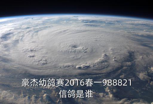 豪杰幼鴿賽2016春一988821信鴿是誰