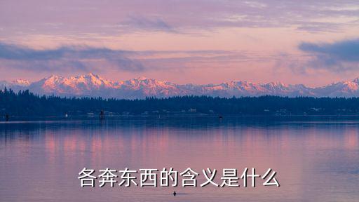 各奔東西的含義是什么