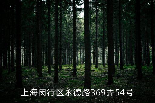 上海市閔行區永德路紅燒牛肉面，上海閔行區永德路369弄54號