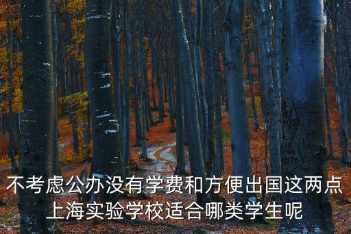 不考慮公辦沒有學費和方便出國這兩點上海實驗學校適合哪類學生呢
