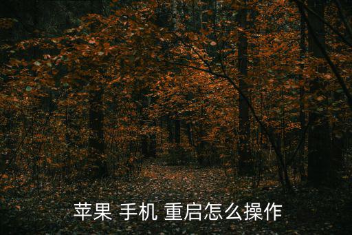  蘋果 手機 重啟怎么操作