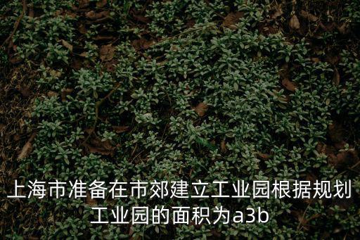 上海市準備在市郊建立工業園根據規劃工業園的面積為a3b