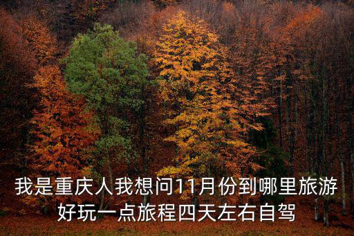 我是重慶人我想問11月份到哪里旅游好玩一點旅程四天左右自駕