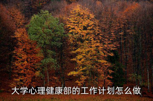 大學心理健康部的工作計劃怎么做