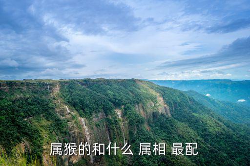 猴和什么屬相最配,獅子和猴子哪個屬相最適合?