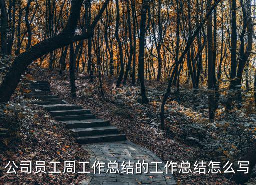 周工作總結怎么寫，公司員工周工作總結的工作總結怎么寫