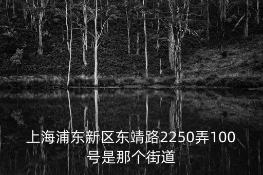 上海市浦東新區最近街道，上海浦東新區周秀路所屬什么街道