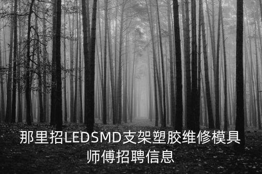 那里招LEDSMD支架塑膠維修模具師傅招聘信息