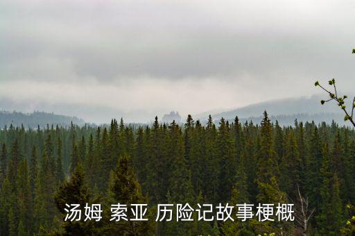 湯姆索亞歷險記簡介,湯姆索亞歷險記"馬克·吐溫寫的