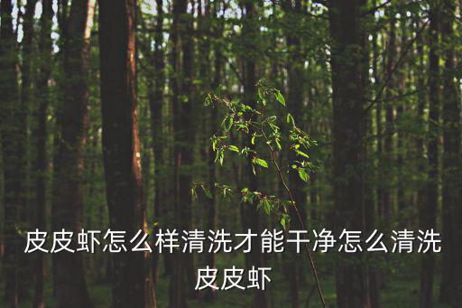 皮皮蝦怎么洗,皮皮蝦注意事項1把肚子吐出來