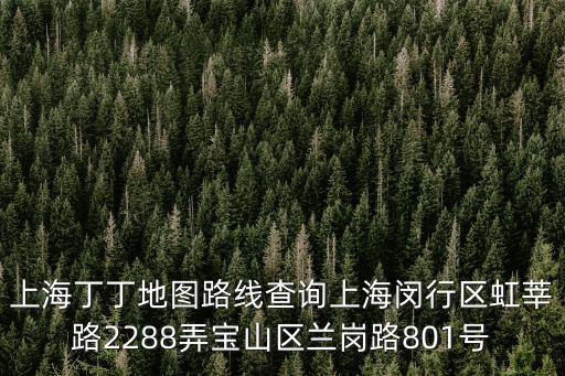 上海丁丁地圖路線查詢上海閔行區虹莘路2288弄寶山區蘭崗路801號