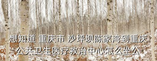 重慶市公共救急中心，重慶市救助中心在哪里