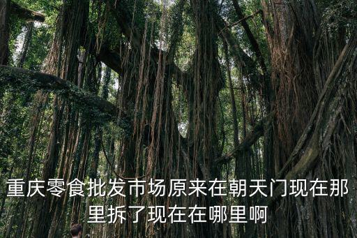 重慶零食批發市場原來在朝天門現在那里拆了現在在哪里啊