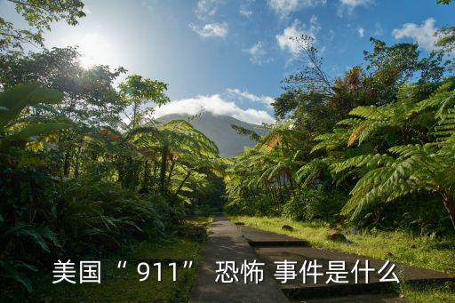 美國“ 911” 恐怖 事件是什么