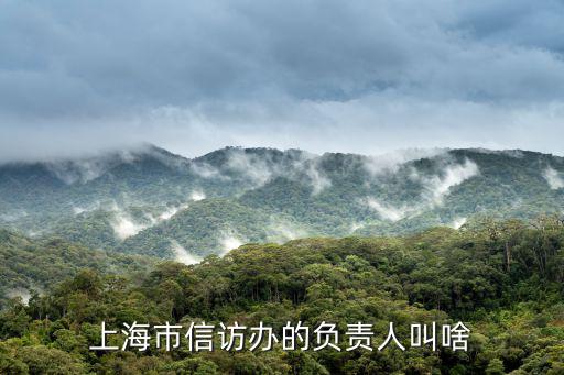 上海市信訪辦的負責人叫啥