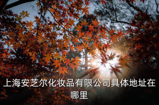 上海安芝爾化妝品有限公司具體地址在哪里