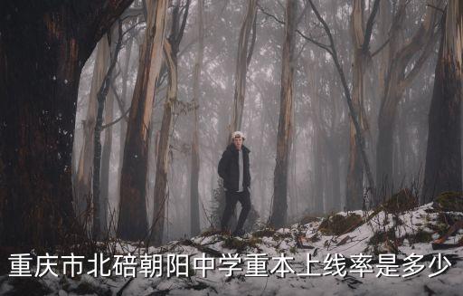 重慶市北碚朝陽(yáng)中學(xué)重本上線率是多少