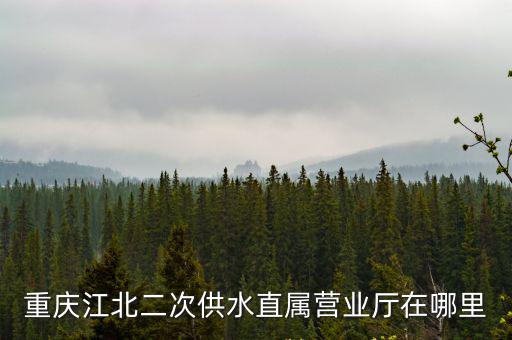 重慶江北二次供水直屬營業廳在哪里