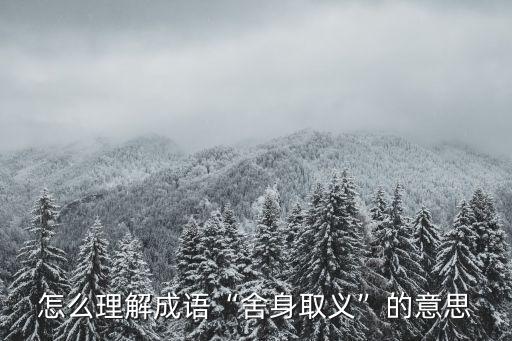 怎么理解成語“舍身取義”的意思