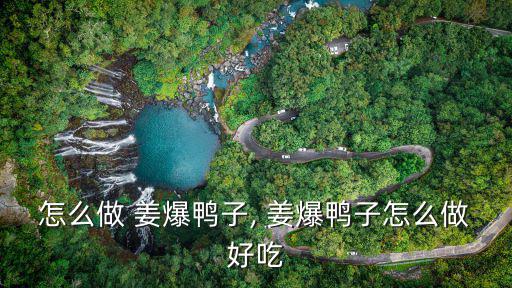 怎么做 姜爆鴨子, 姜爆鴨子怎么做好吃