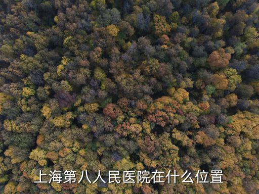 阮瓊 上海市第八人民醫(yī)院，上海第八人民醫(yī)院在什么位置