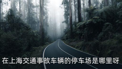 在上海交通事故車輛的停車場是哪里呀