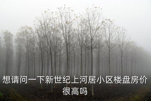 想請問一下新世紀(jì)上河居小區(qū)樓盤房價很高嗎