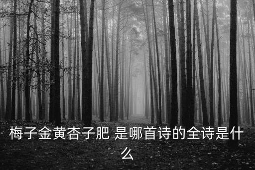 梅子金黃杏子肥 是哪首詩的全詩是什么