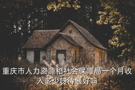 重慶市人力資源和社會保障局一個月收入多少呀待遇好嗎