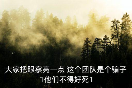 大家把眼察亮一點 這個團隊是個騙子1他們不得好死1