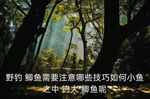 如何釣大鯽魚,冬天怎么釣魚?別慌!