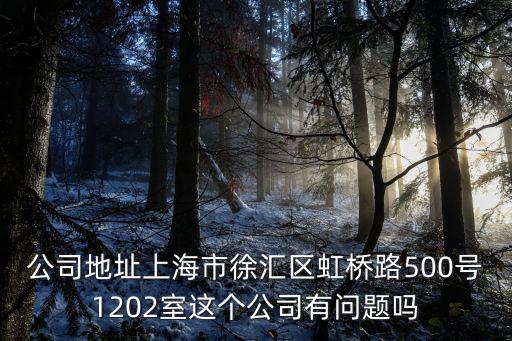 公司地址上海市徐匯區虹橋路500號1202室這個公司有問題嗎