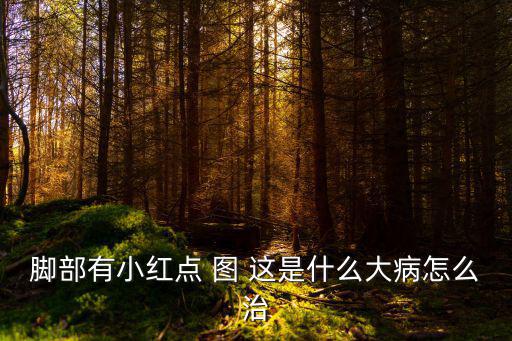 腳部有小紅點 圖 這是什么大病怎么治