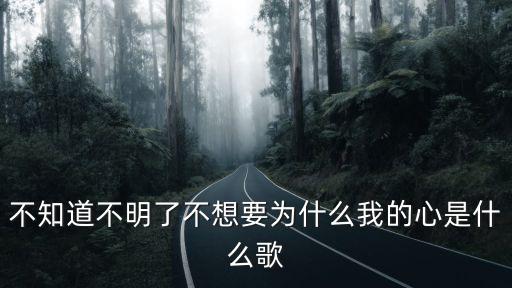 不知道不明了不想要為什么我的心是什么歌