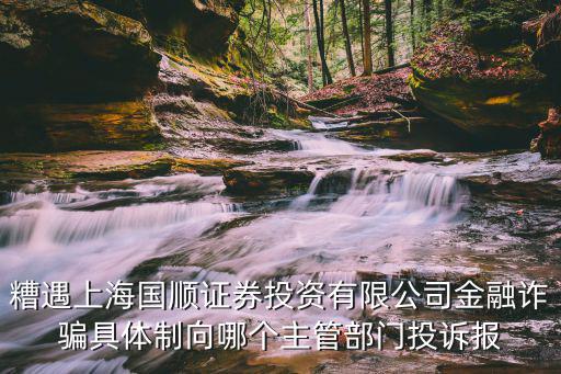 糟遇上海國順證券投資有限公司金融詐騙具體制向哪個主管部門投訴報