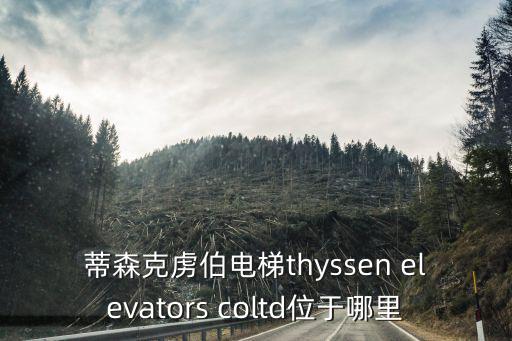 上海市松江區(qū)勛業(yè)路376號(hào)，蒂森克虜伯電梯thyssen elevators coltd位于哪里
