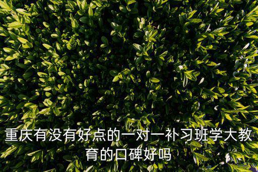 重慶有沒有好點的一對一補習班學大教育的口碑好嗎