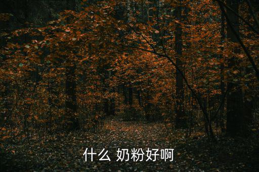 什么 奶粉好啊