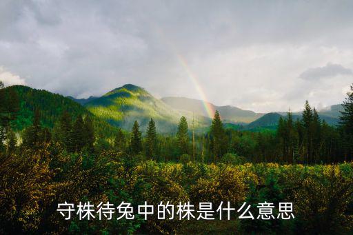 株的詞語(yǔ)，守株待兔中的株是什么意思