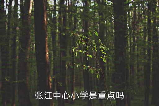 張江中心小學(xué)是重點嗎