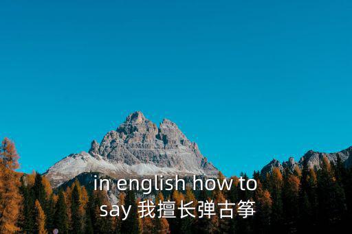 in english how to say 我擅長彈古箏