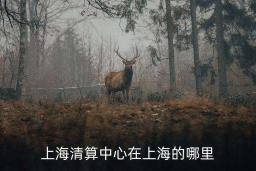 上海市掃黑除惡辦公室在什么地方，上海市黑玉北路70o號在那里