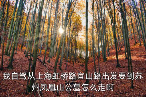 上海市鳳凰山公墓，蘇卅鳳凰山公墓上海有辦事處嗎