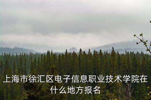 上海市徐匯區(qū)電子信息職業(yè)技術(shù)學(xué)院在什么地方報名