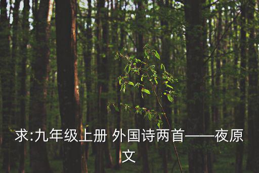 求:九年級(jí)上冊(cè) 外國(guó)詩(shī)兩首——夜原文