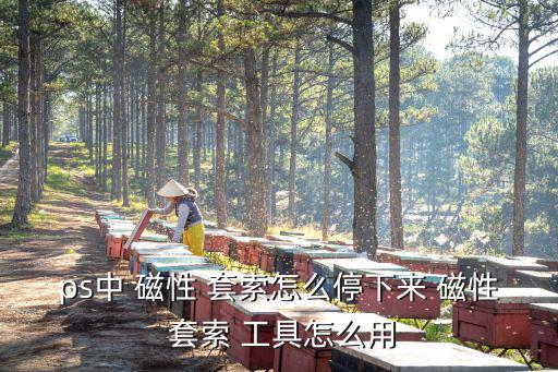 磁性套索工具,三步驟!從磁性套索工具中選擇適合的選區(qū)邊界