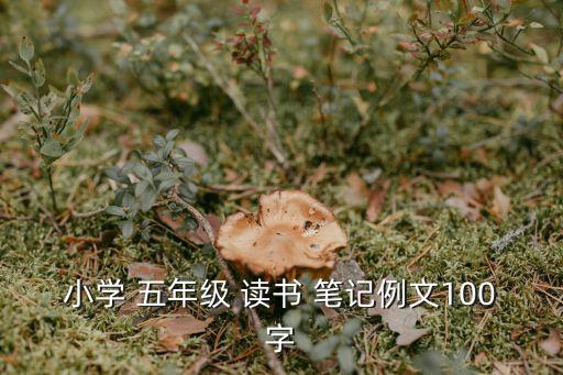 讀書筆記五年級,狀元變乞丐300個哲學故事