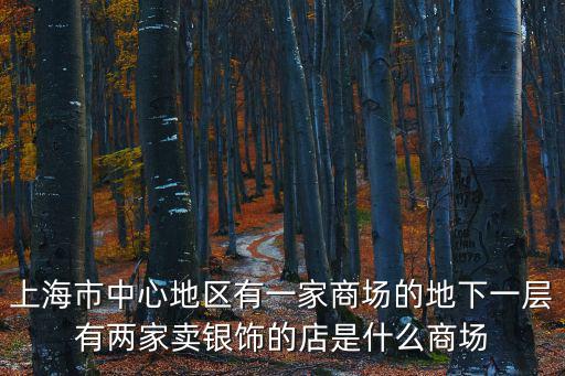 上海市中心地區(qū)有一家商場(chǎng)的地下一層有兩家賣銀飾的店是什么商場(chǎng)