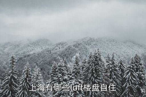 上海有哪些loft樓盤自住